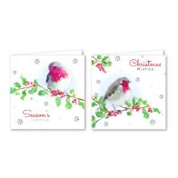 See more information about the 12 Christmas Cards (Traditional Robins)